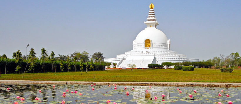 delhi bodhgaya lumini tour