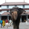 Manjunatha Swamy Temple dharmasthala